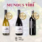 Bodega Santa Cruz de Alpera consigue tres medallas de oro en los premios Mundus Vini
