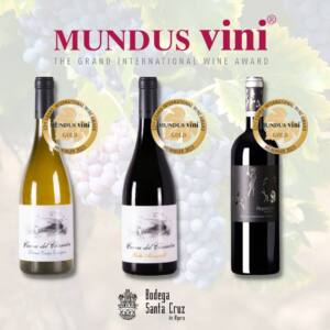 Lee más sobre el artículo Bodega Santa Cruz de Alpera consigue tres medallas de oro en los premios Mundus Vini