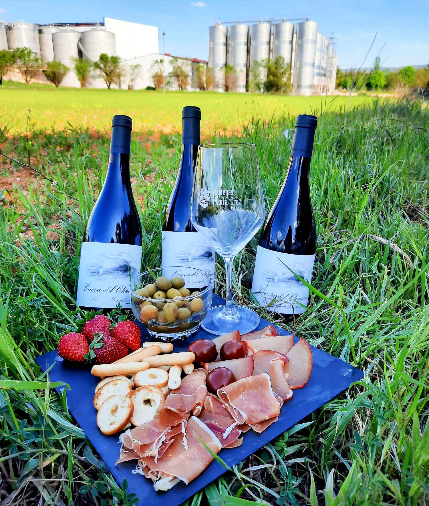 En este momento estás viendo ¡Disfruta de un día completo de Enoturismo en Alpera  y nuestra bodega con la Ruta del vino de Almansa!