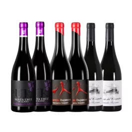 PACK TINTOS SELECCIÓN (6 BOTELLAS)