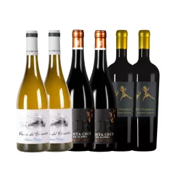 PACK DESCUBRIMIENTO BODEGA SANTA CRUZ (6 BOTELLAS)