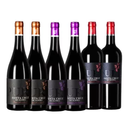 PACK SANTA CRUZ PURE (6 BOTELLAS)