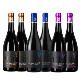 PACK VARIETALES SANTA CRUZ DE ALPERA PURE (6 BOTELLAS)